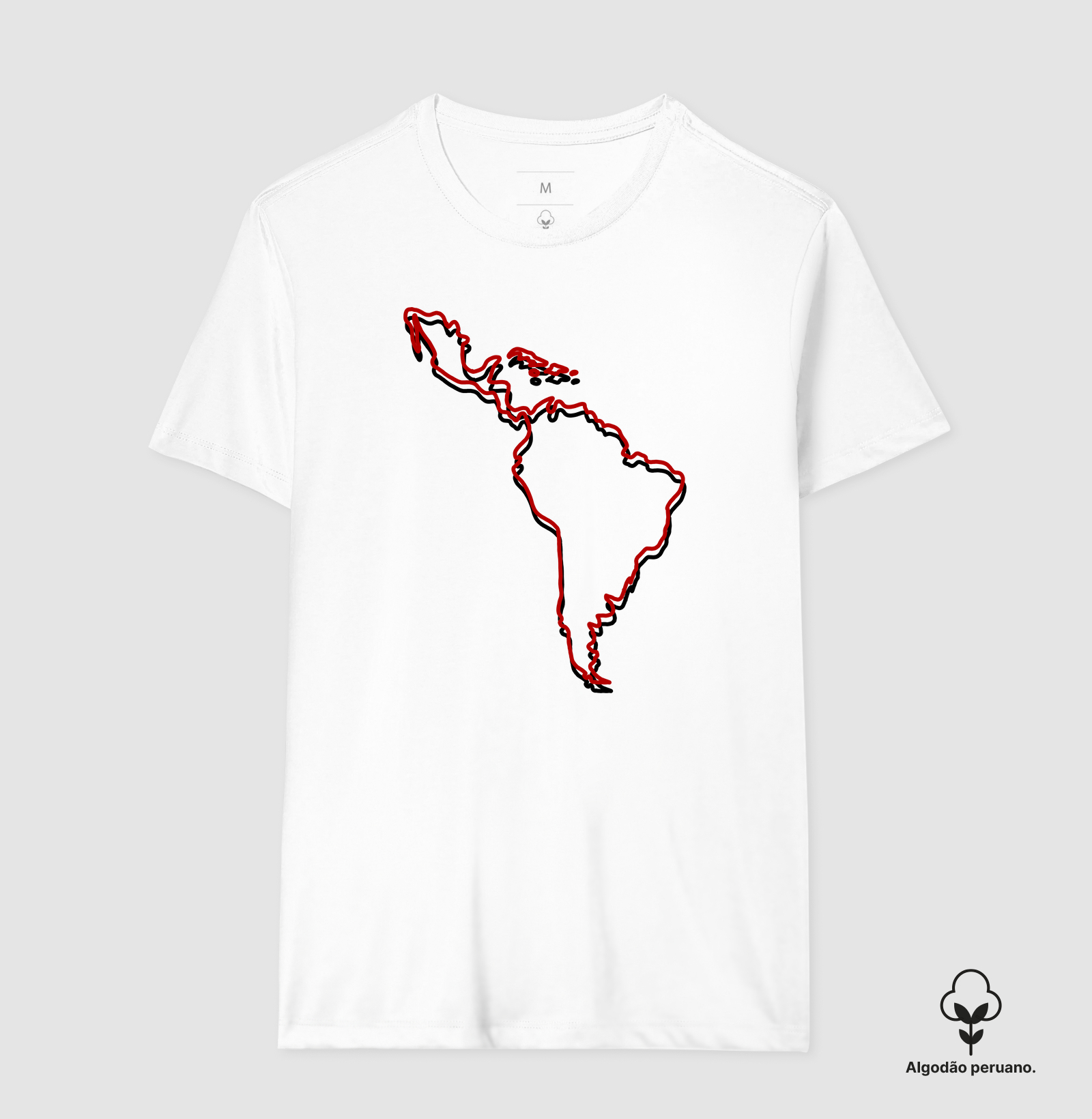 América Latina Outline