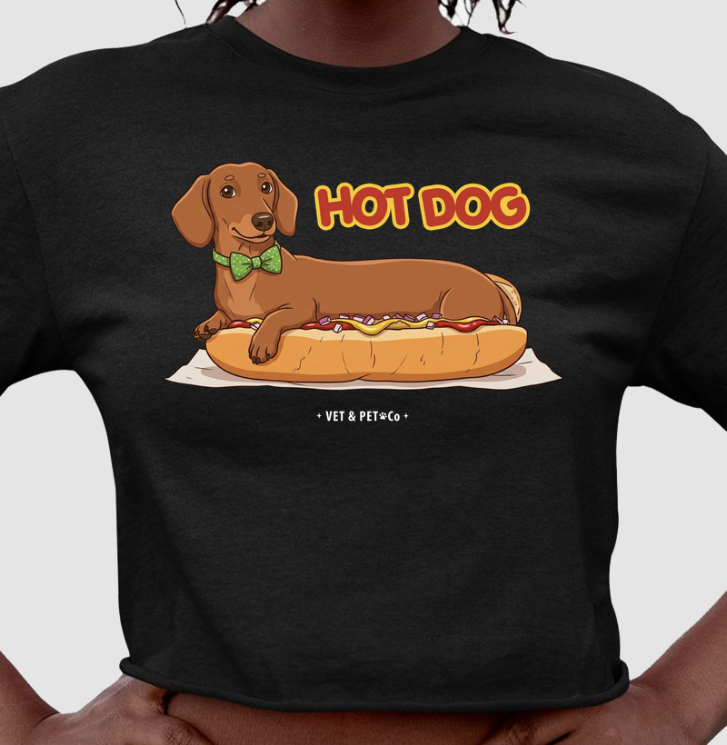 Hot Dog (Cachorro Quente) - Dachshund