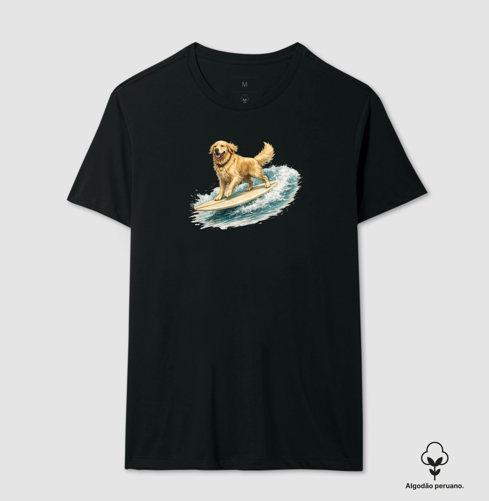 Surfista