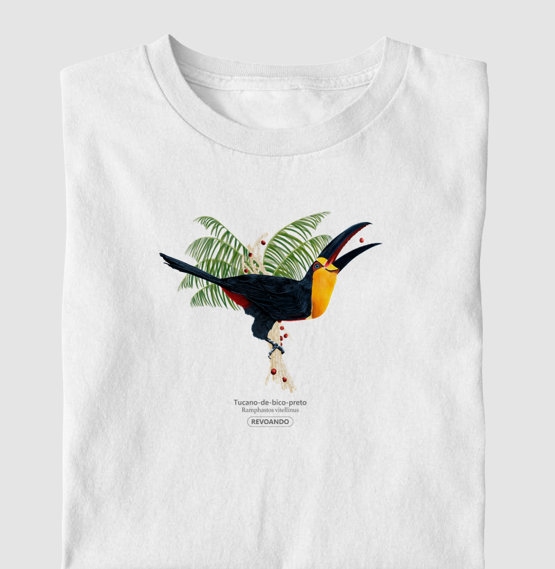 Aves do Brasil - Tucano-de-bico-preto - Infantil