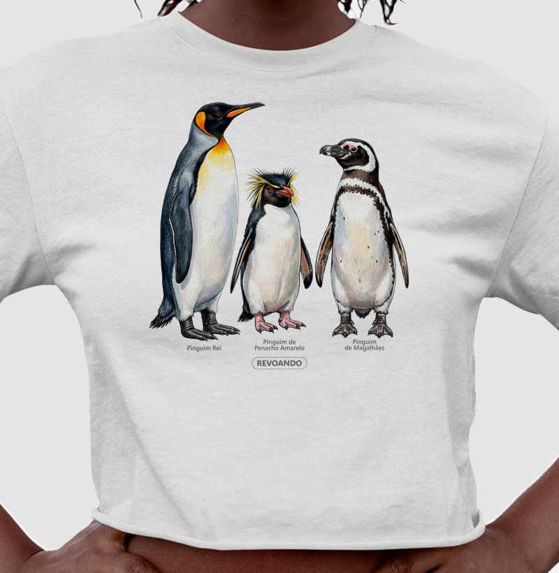 Traços Alados - Coletivo Pinguins - Cropped - Cropped