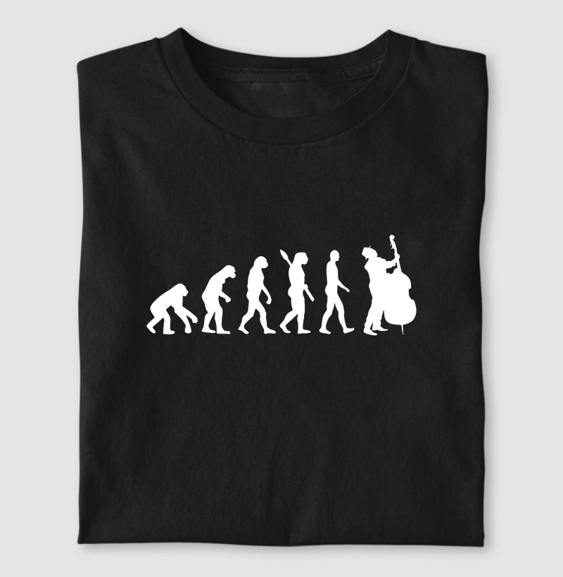 Violoncelo Evolução