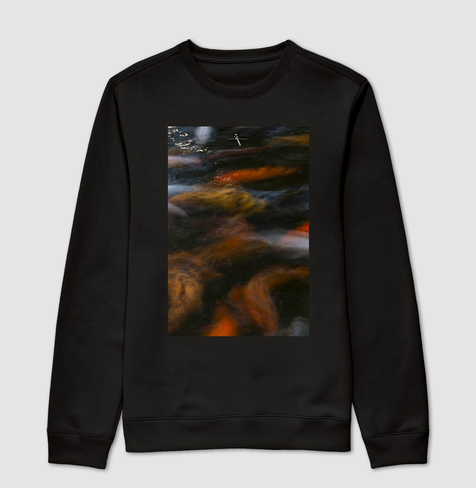 Koi #02