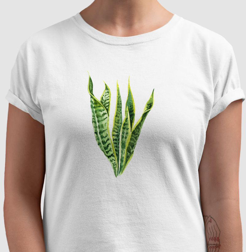 Espada-de-São-Jorge