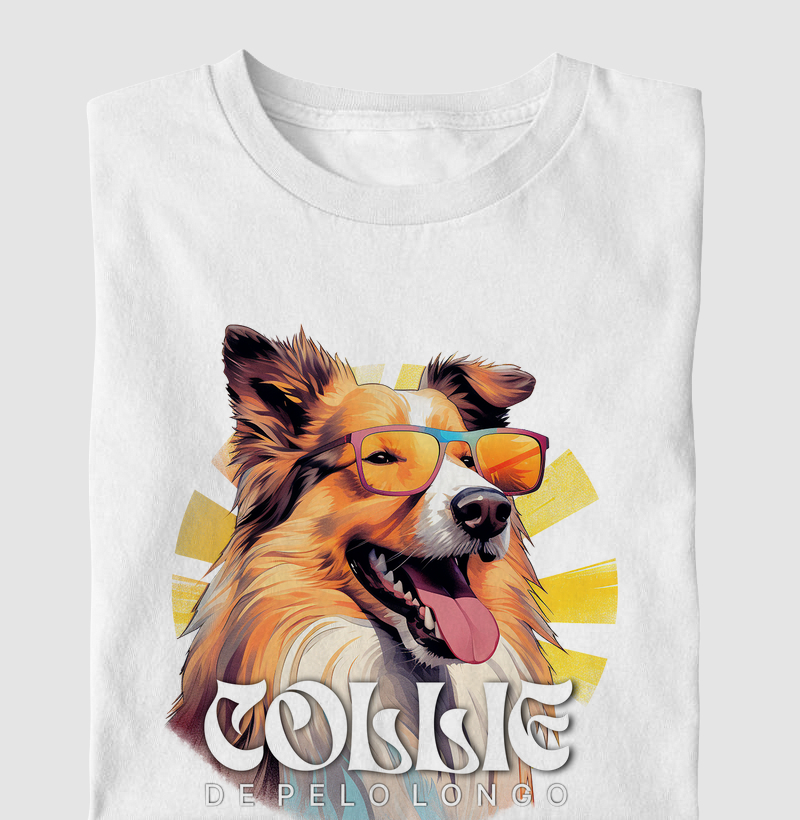 Collie Pelo Longo 01