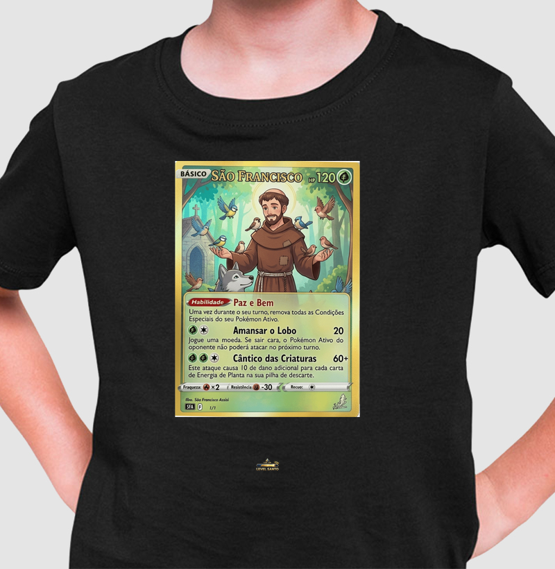 São Francisco de Assis - TCG