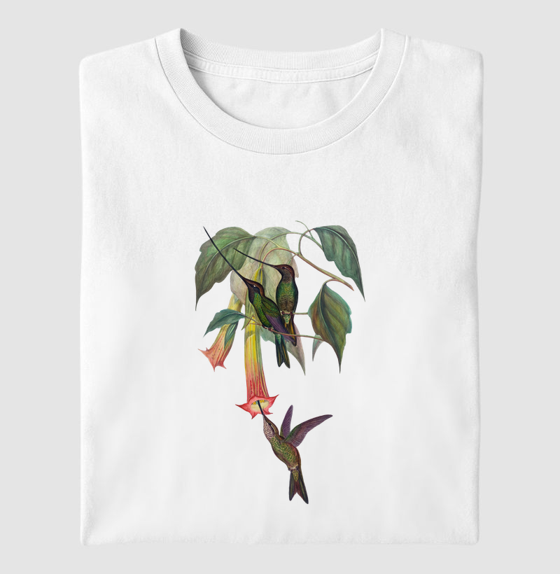 Beija-flor-bico-de-espada