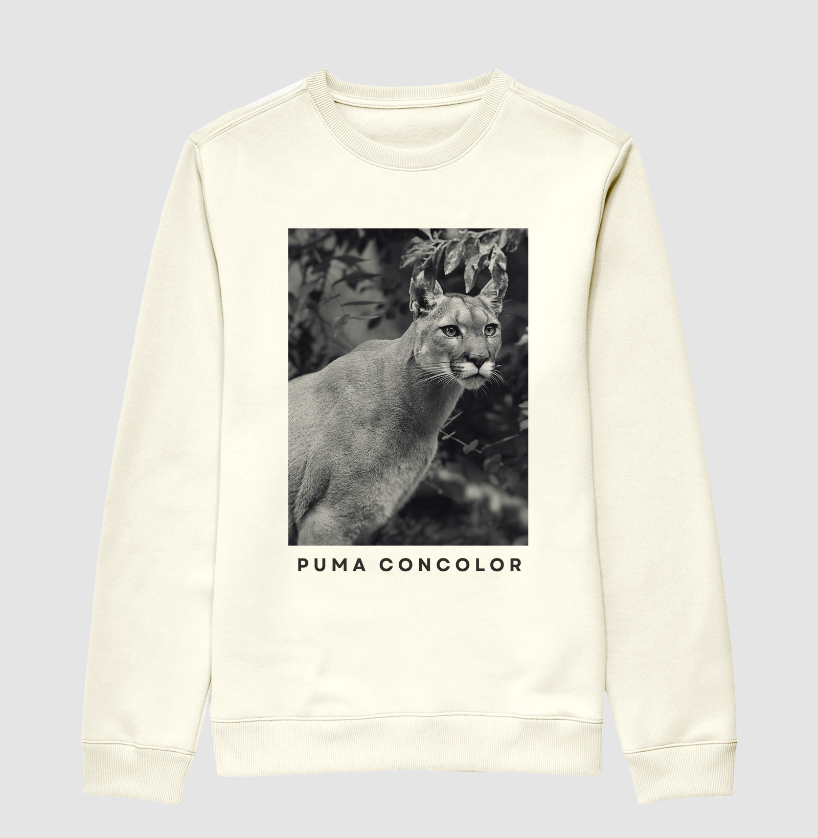 PUMA CONCOLOR I Moletom 