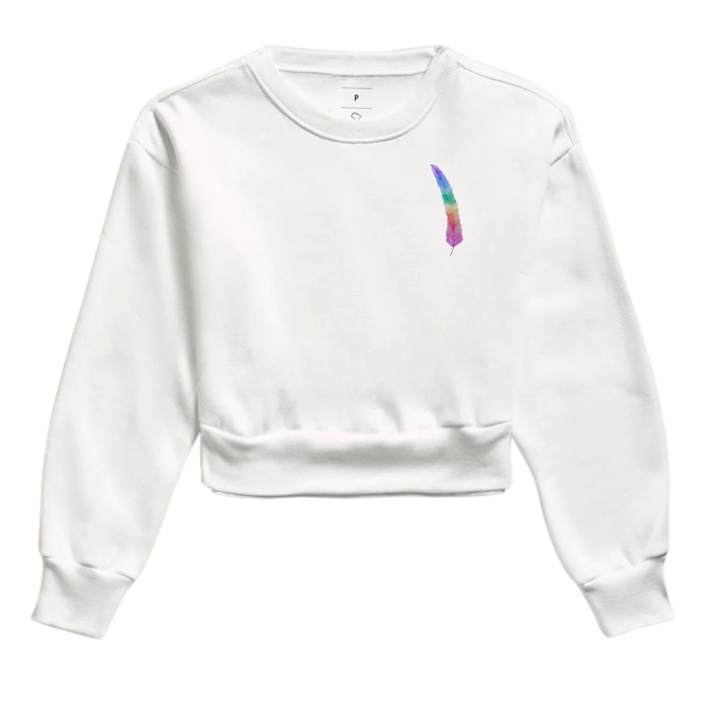 Pena colorida (versão minimalista)