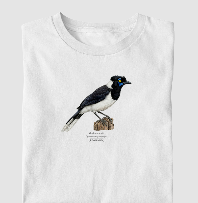 Traços Alados - Gralha-cancã - Infantil