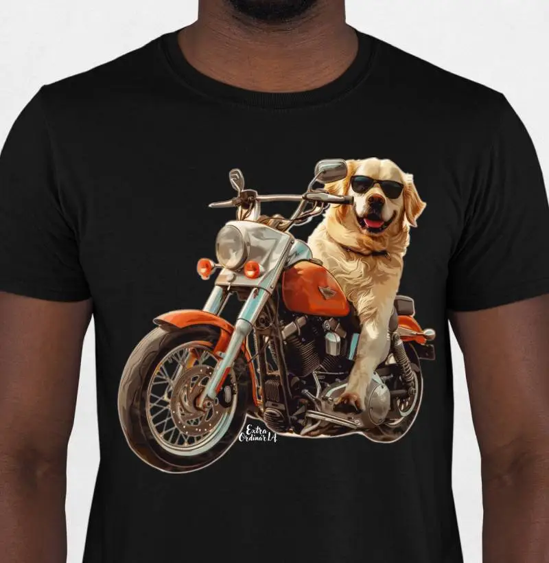 Golden Retriever Motociclista