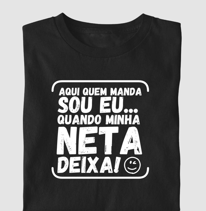 Quem manda sou eu: NETA