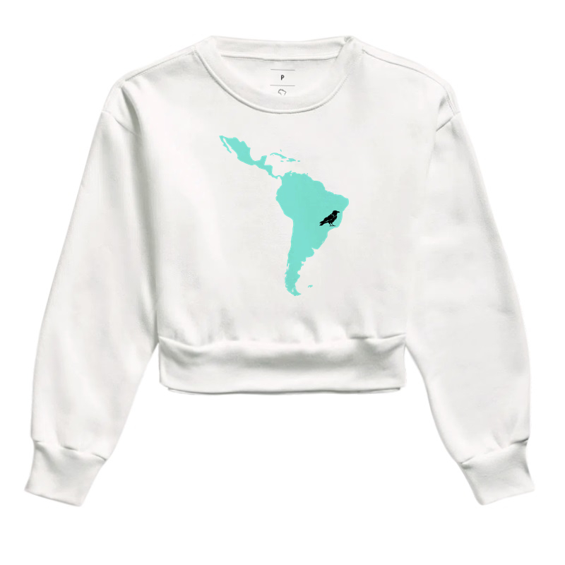 America latina & co.