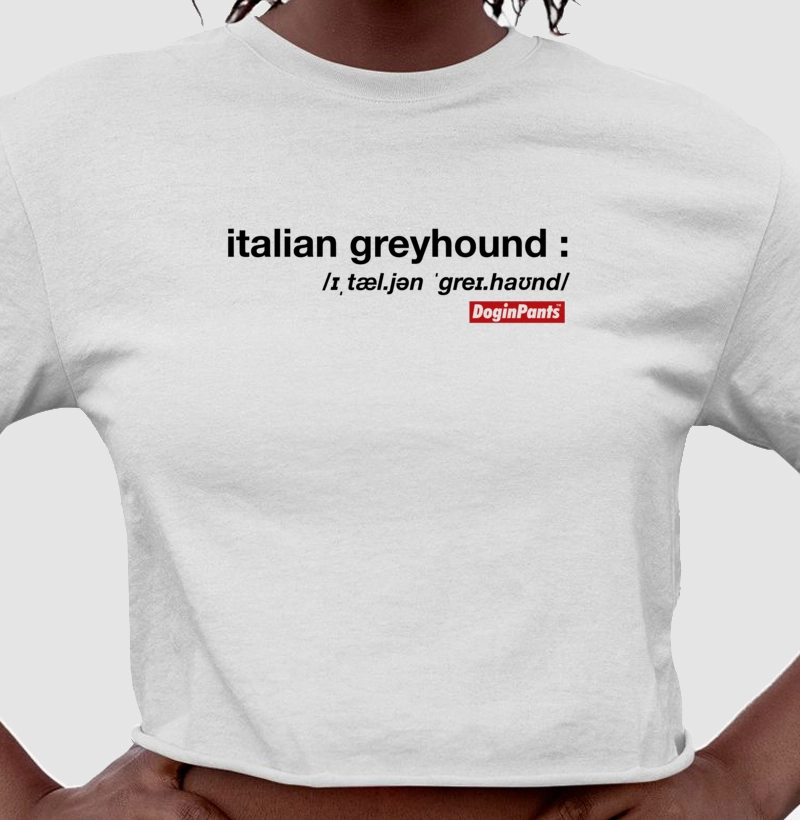 DIP LETT ITALIAN GREYHOUND