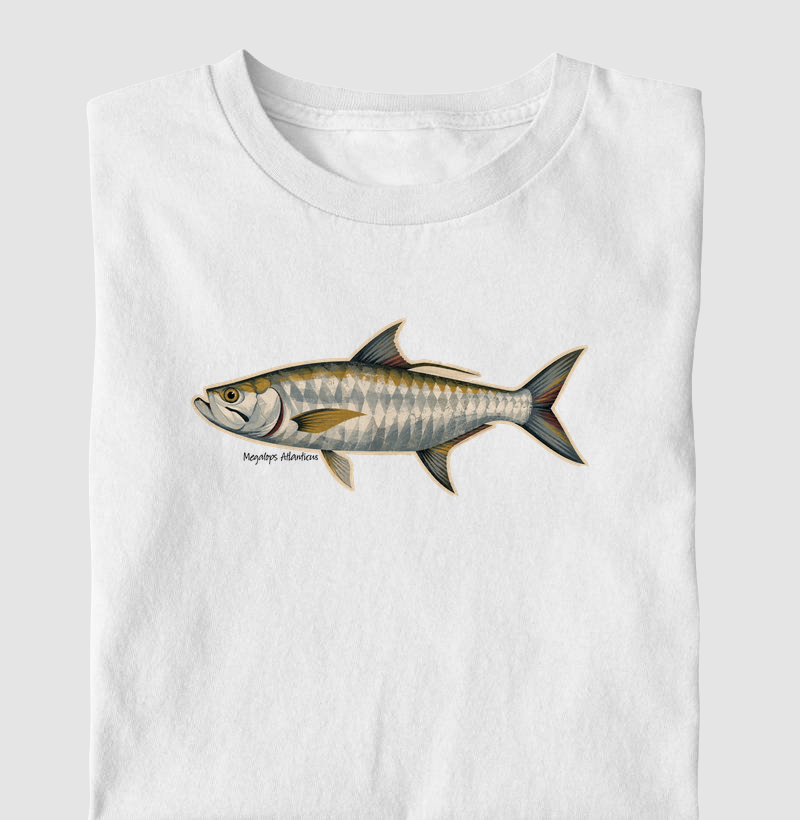 Tarpon ⚡