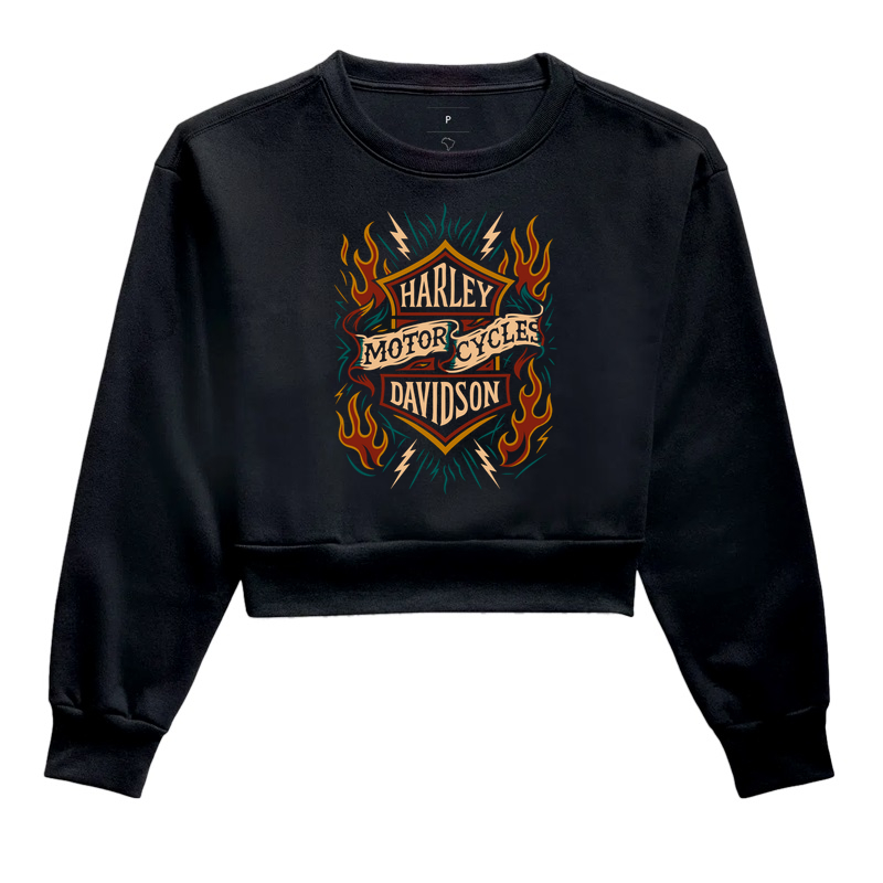 Harley-Davidson – Chamas da Estrada