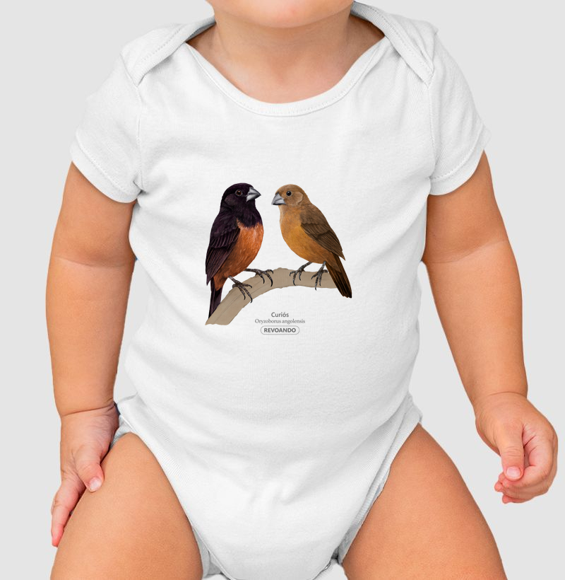 Aves do Brasil - Casal de Curiós - Body Infantil