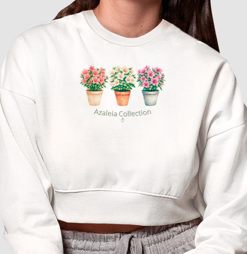 Azaleia Collection