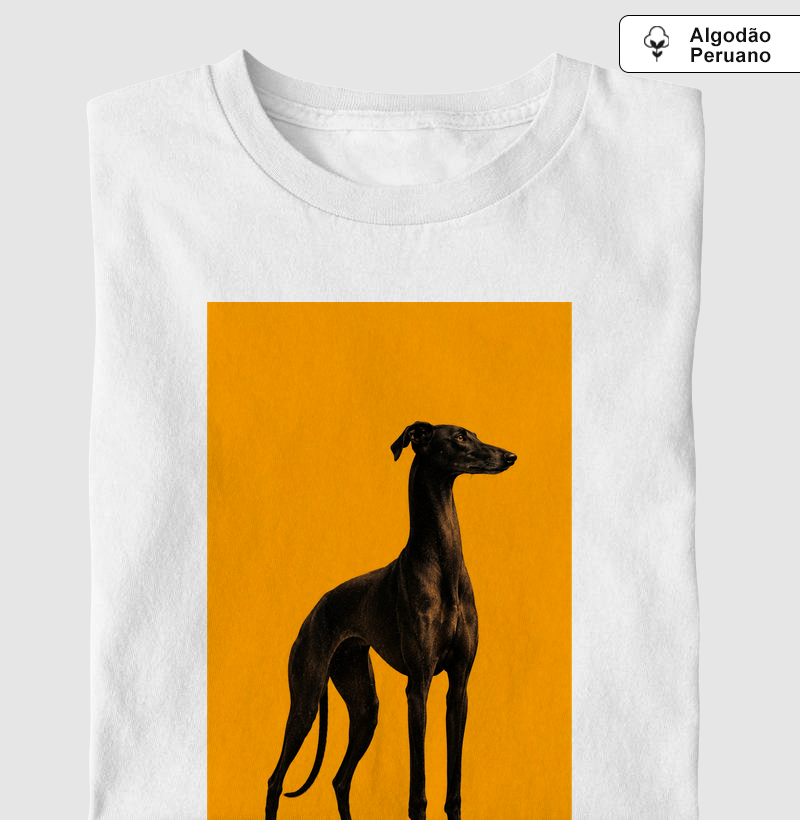 🖤🐕 Galgo Noir 🐕🧡