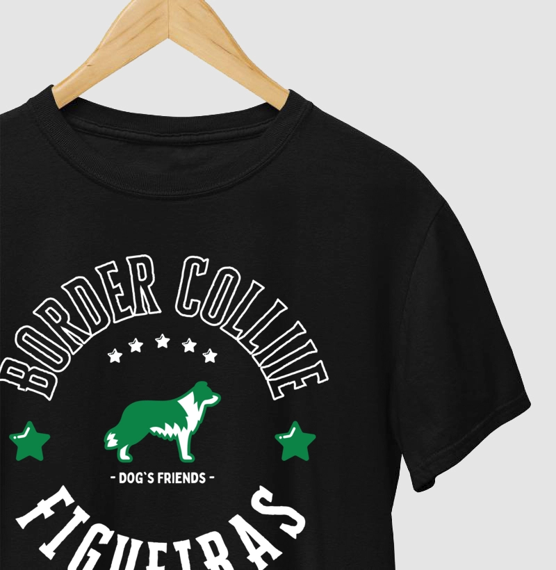 DOG Border Collie Figueiras