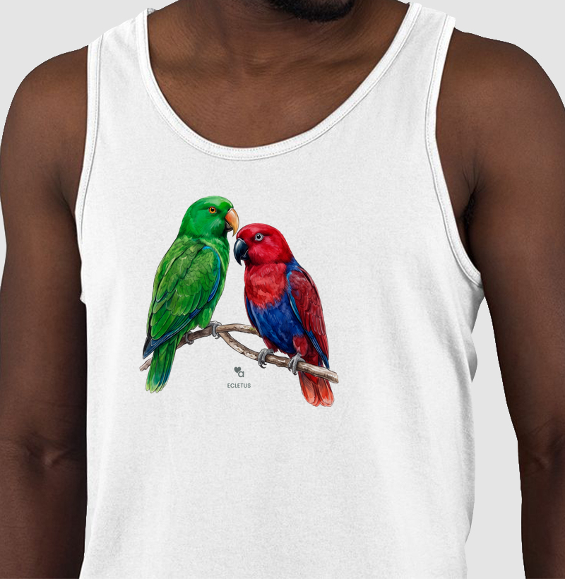 Aves - Casal Ecletus - Regata