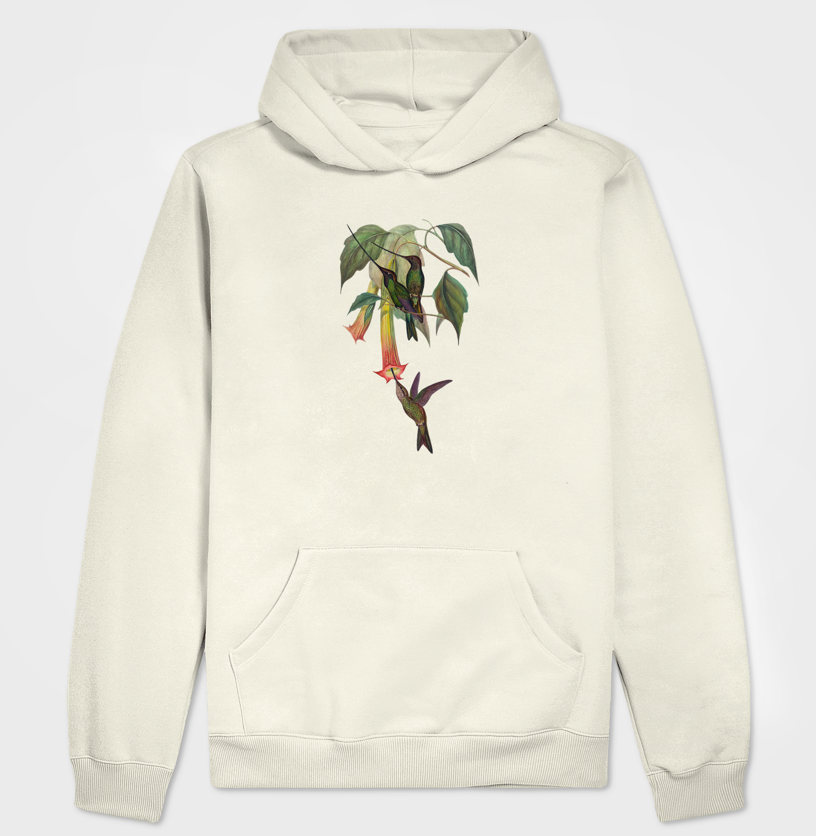 Beija-flor-bico-de-espada