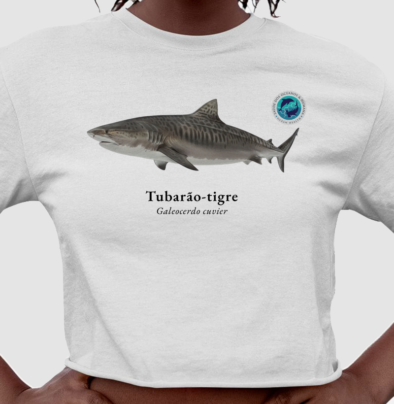 Tubarão-tigre - Cropped