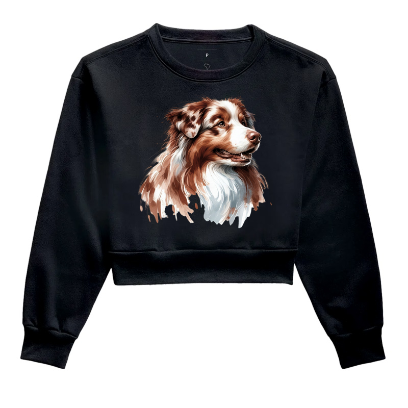 Australian Shepherd Red Merle 01