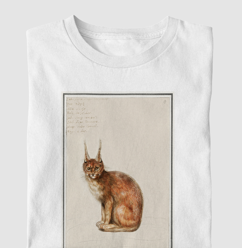 Lynx lynx