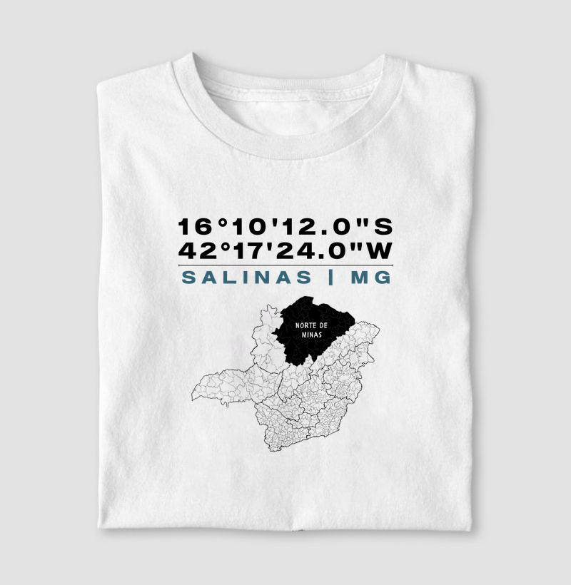 Coordenadas Mapa MG | Salinas