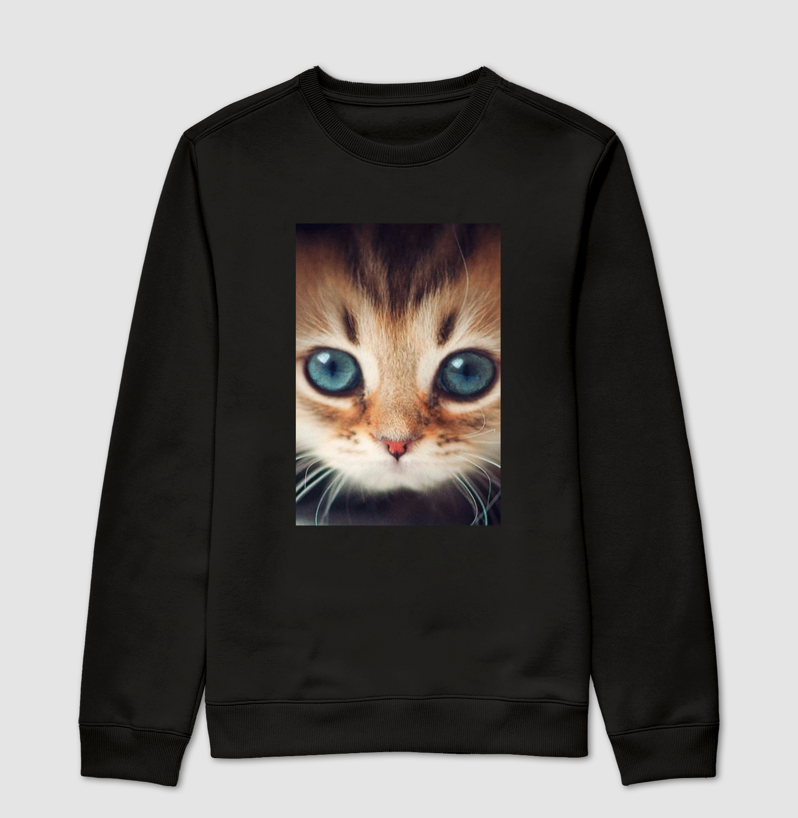Gatinho