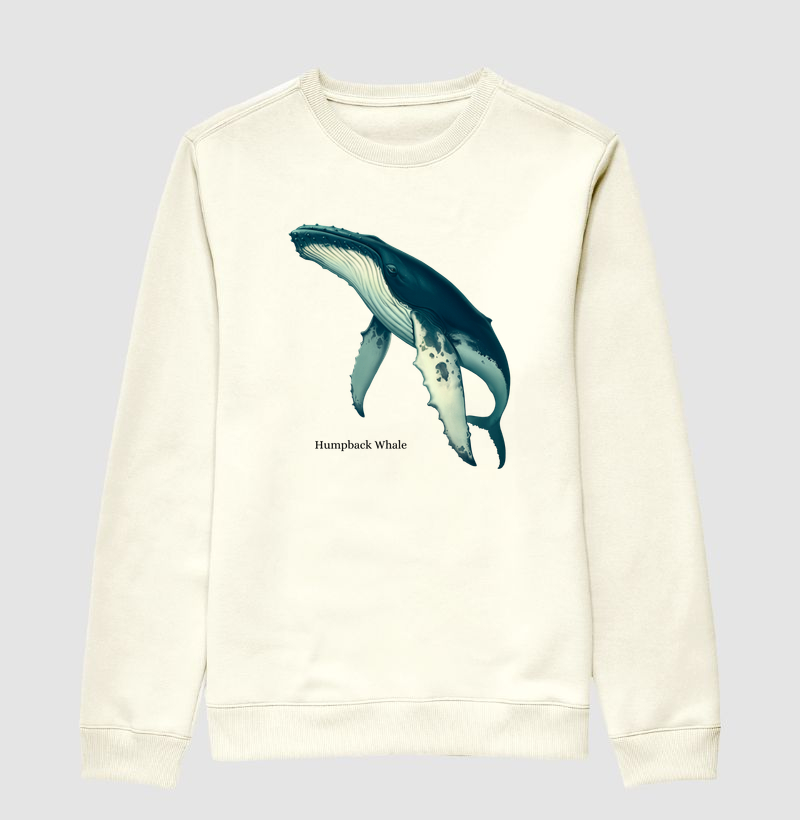 Humpback Whale