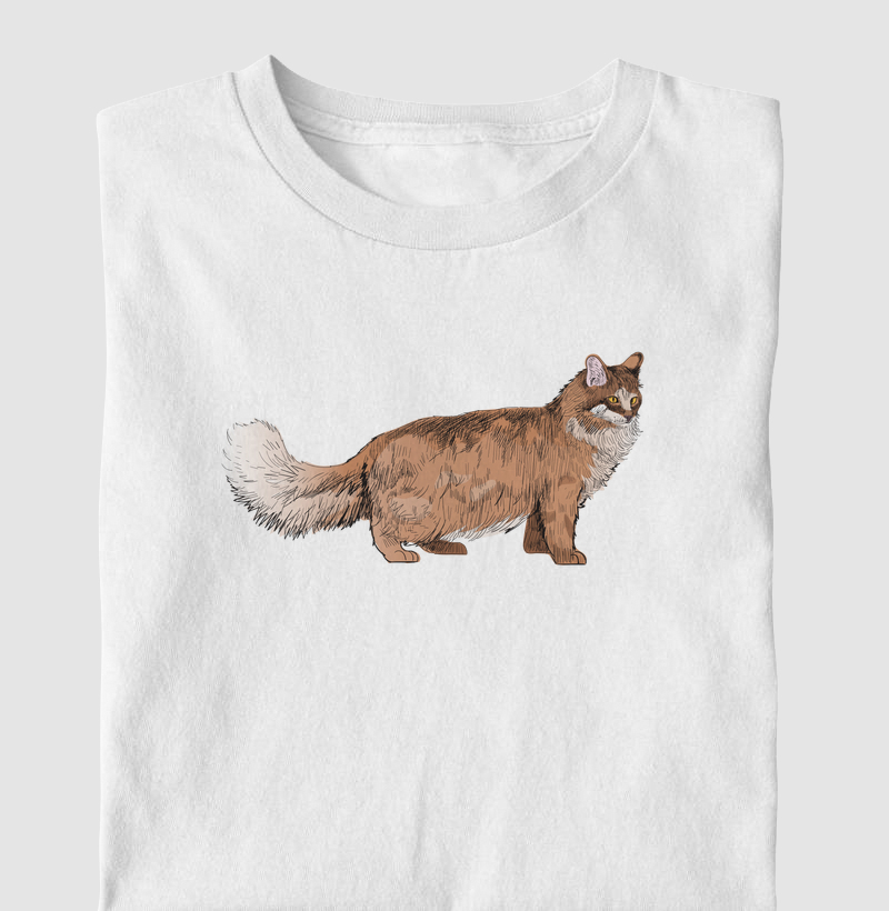 Maine Coon