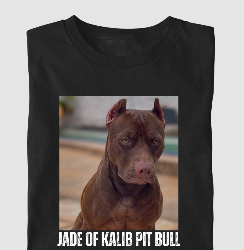 JADE OF KALIB PIT BULL
