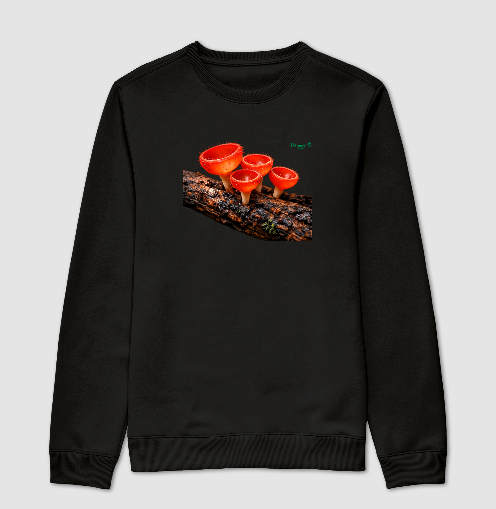 Cogumelos‑taça vermelho