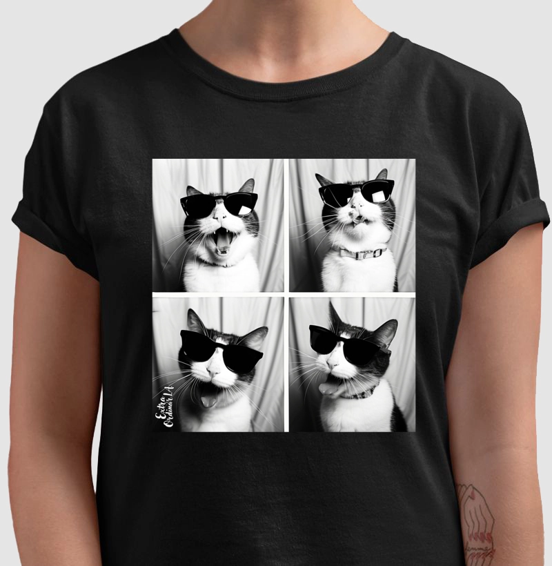 Gato Tricolor de Óculos Ensaio Fotografico