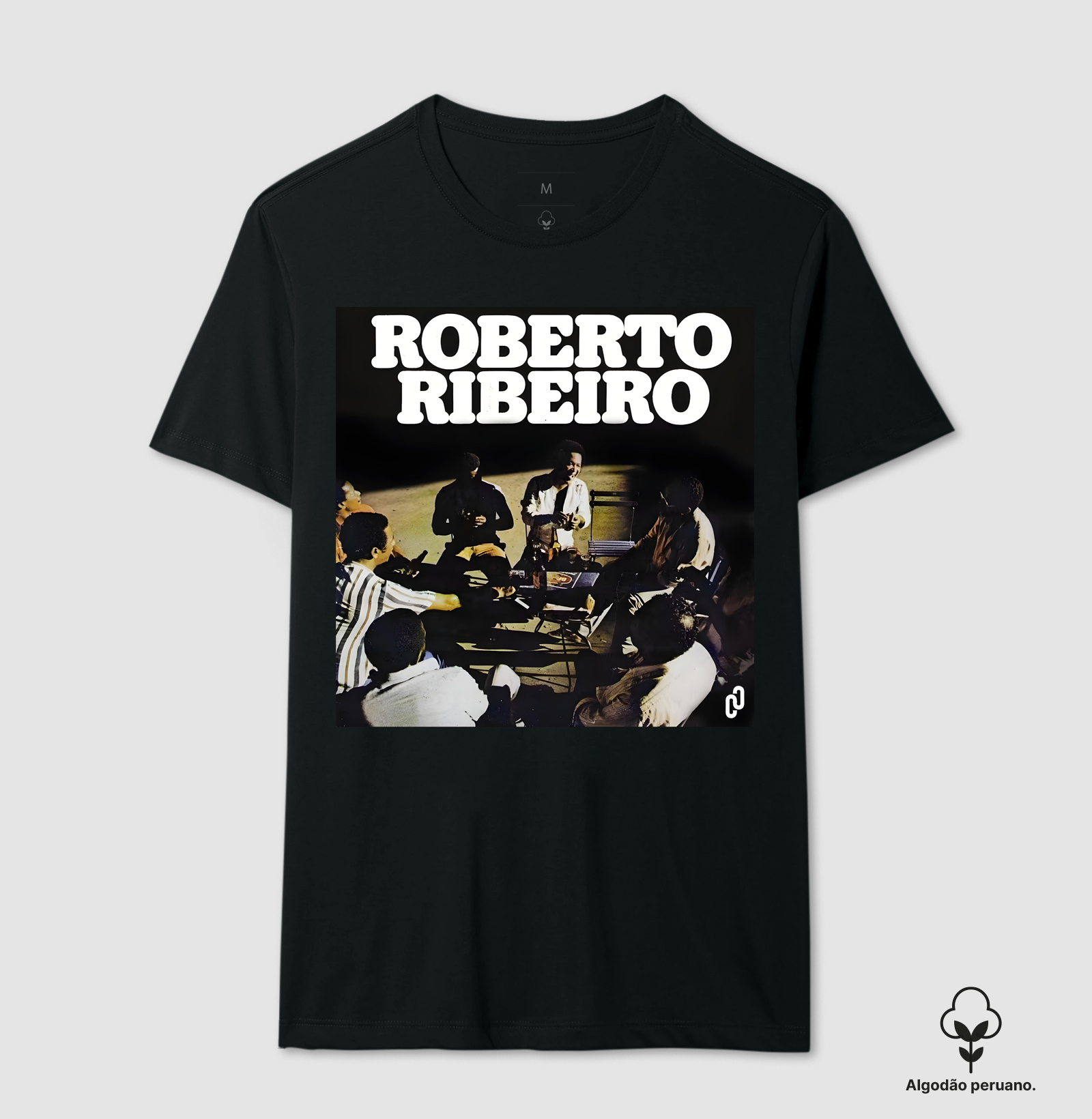 494 - ROBERTO RIBEIRO