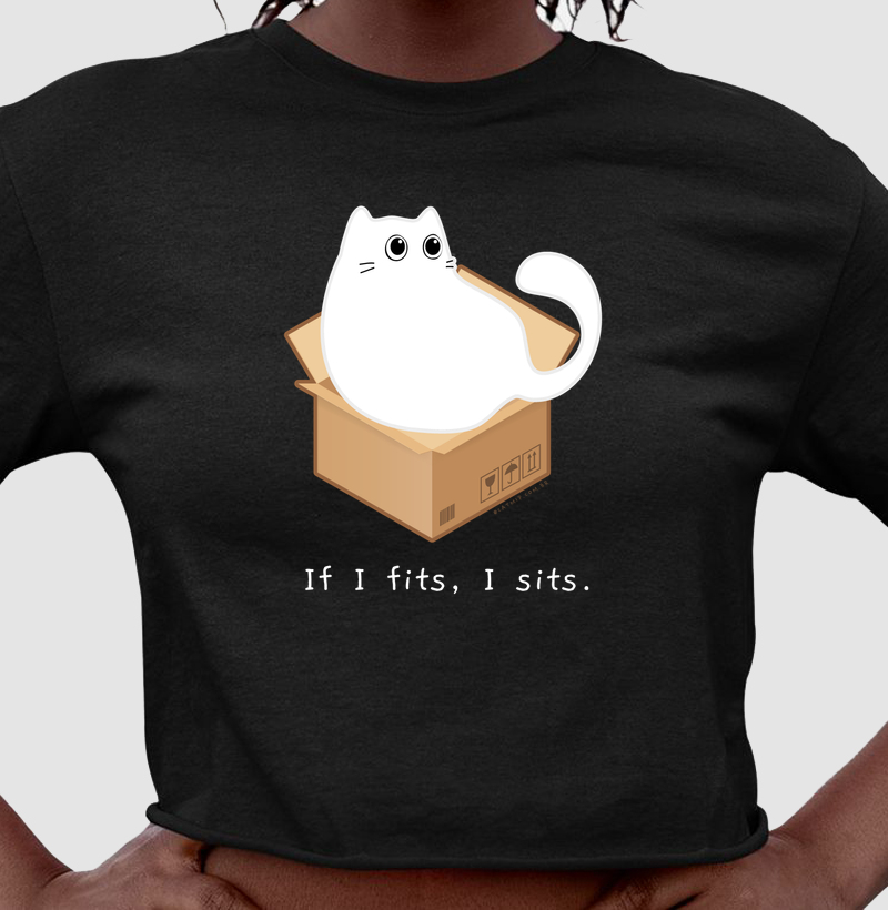If I fits, I sits. | gato branco