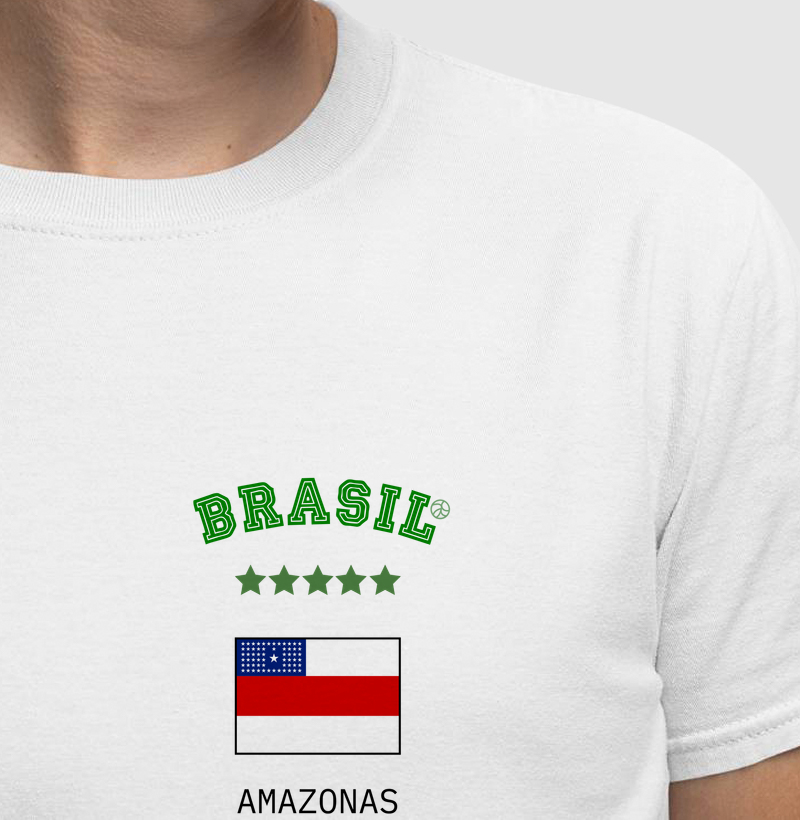 Brasil Amazonas (bolso)