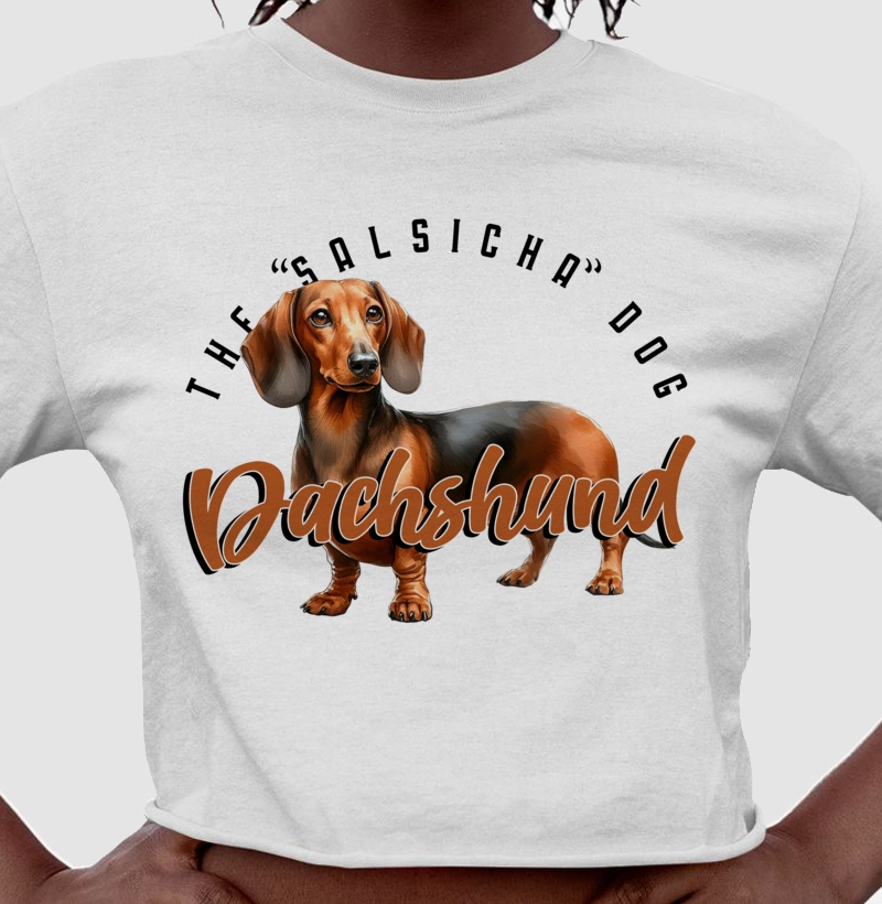 Dachshund! The Salsicha Dog 