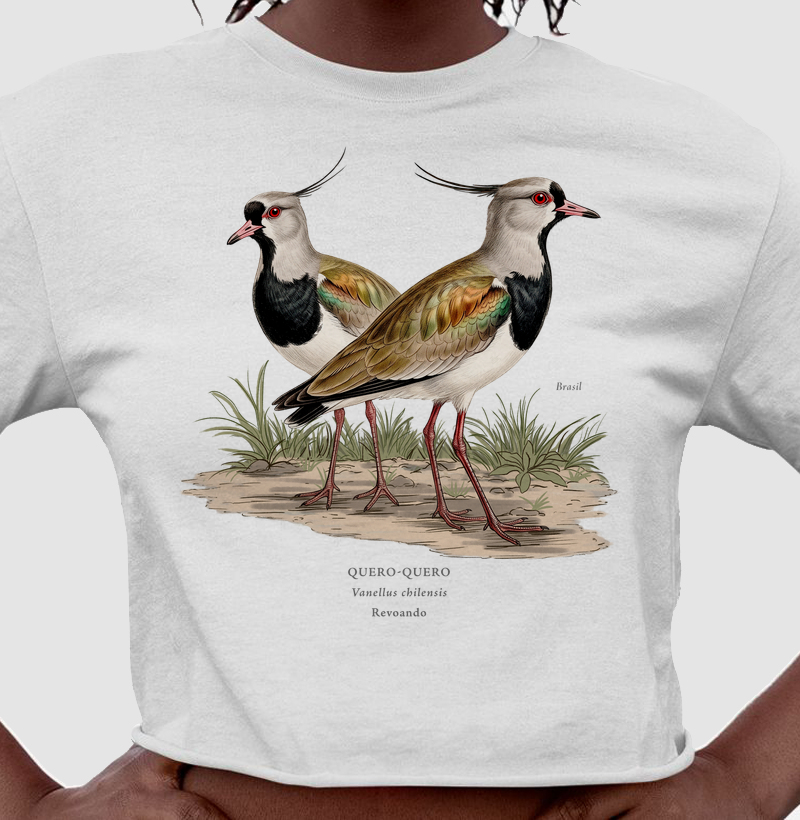 Naturalistas - Quero-quero - Cropped - Cropped