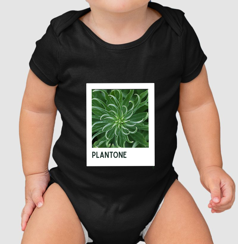 Plantone