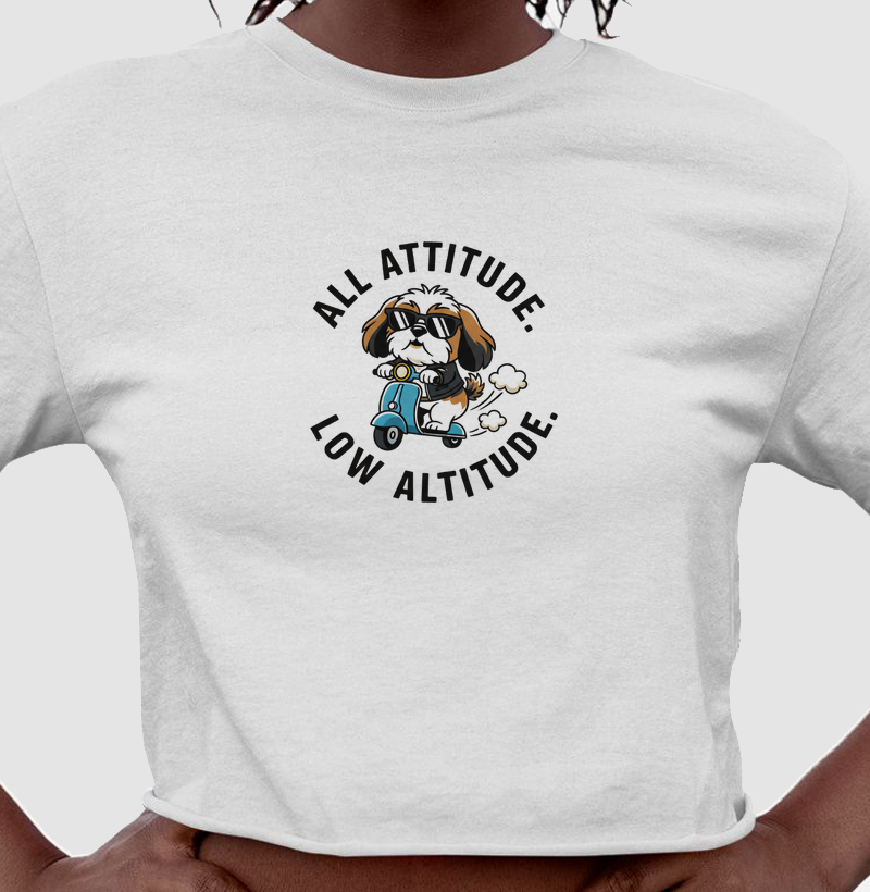 Cropped All Attitude Low Altitude