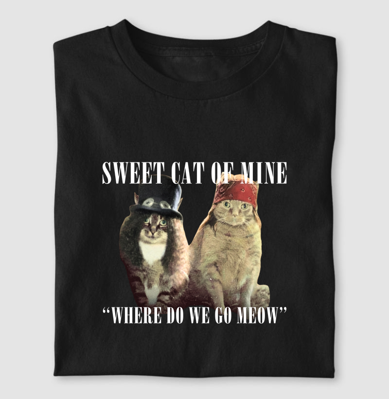 WHERE DO WE GO MEOW
