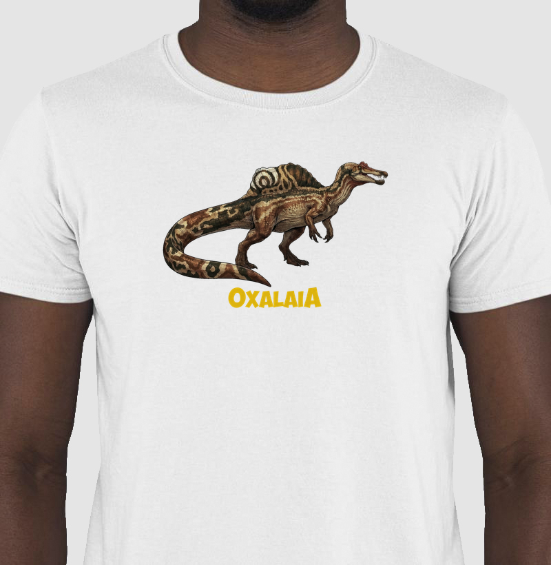 Camisa Algodão Estampada Dinossauro Oxalaia Premium Original