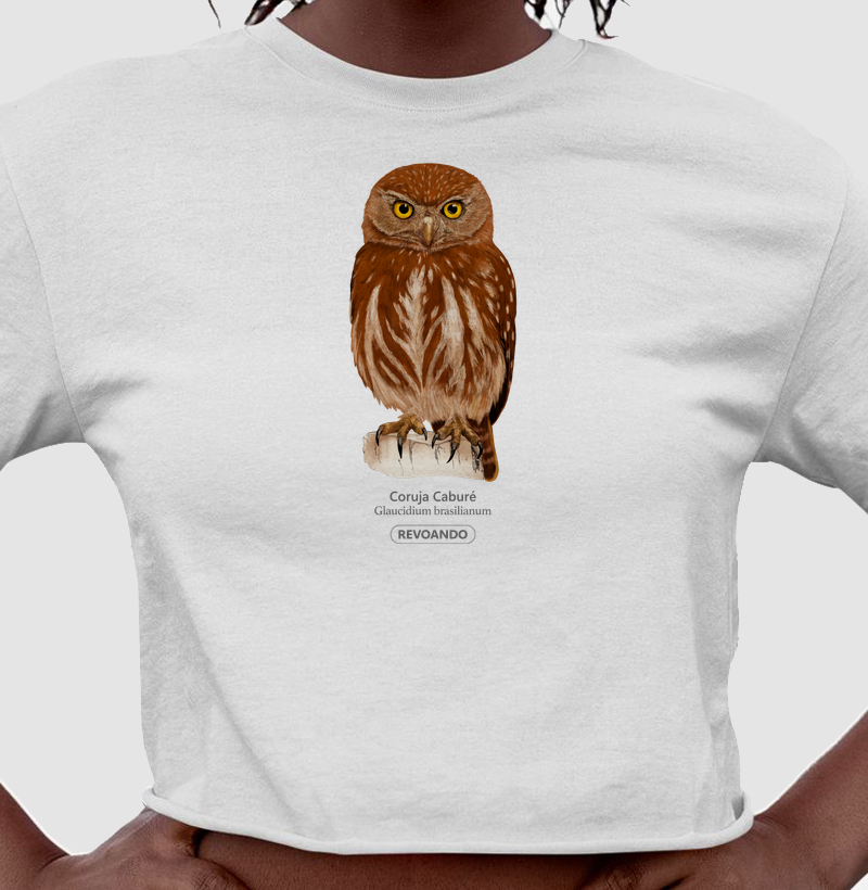 Aves do Brasil - Coruja Caburé - Cropped