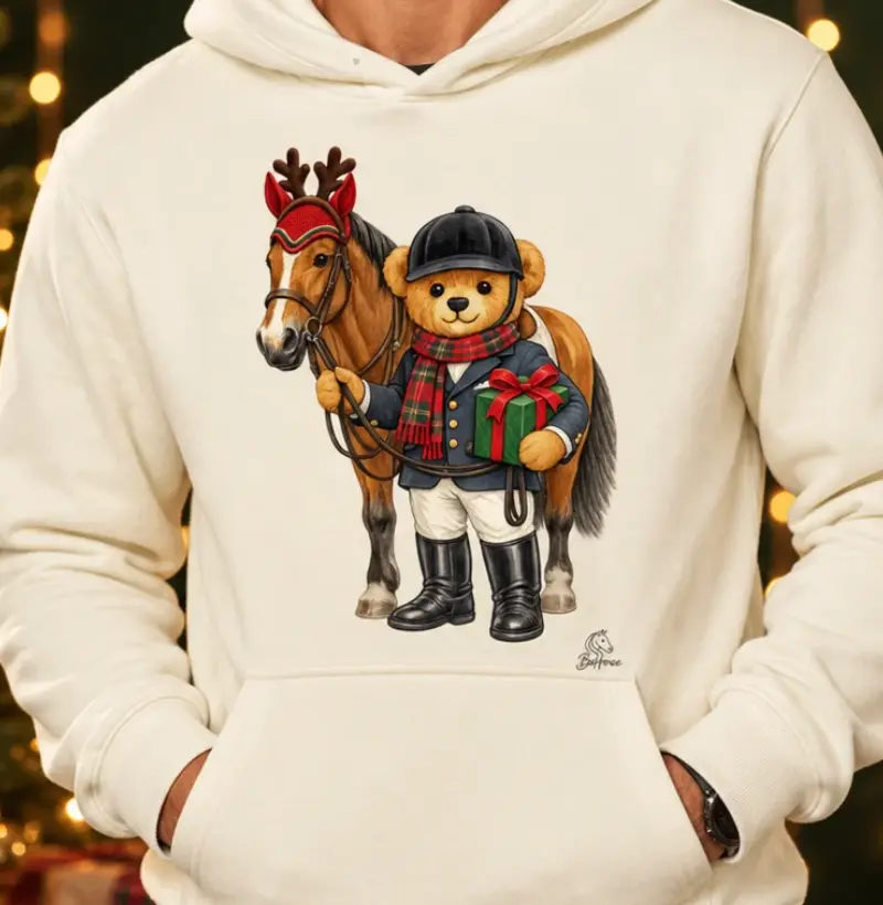 Bear de Natal Moletom  - Hoodie Moletom