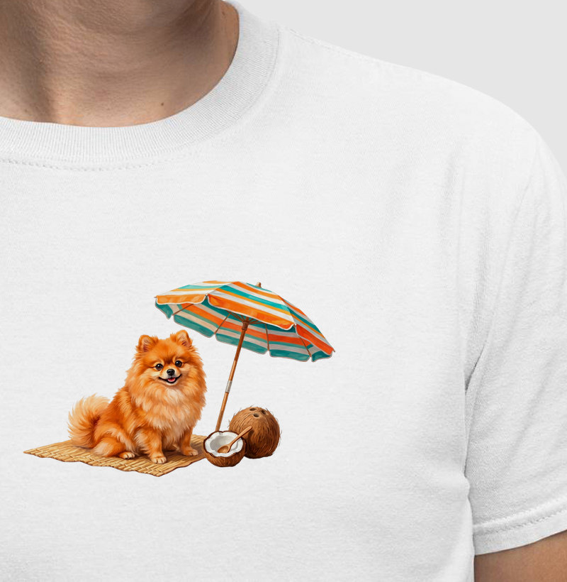 Pomerania Laranja - Férias