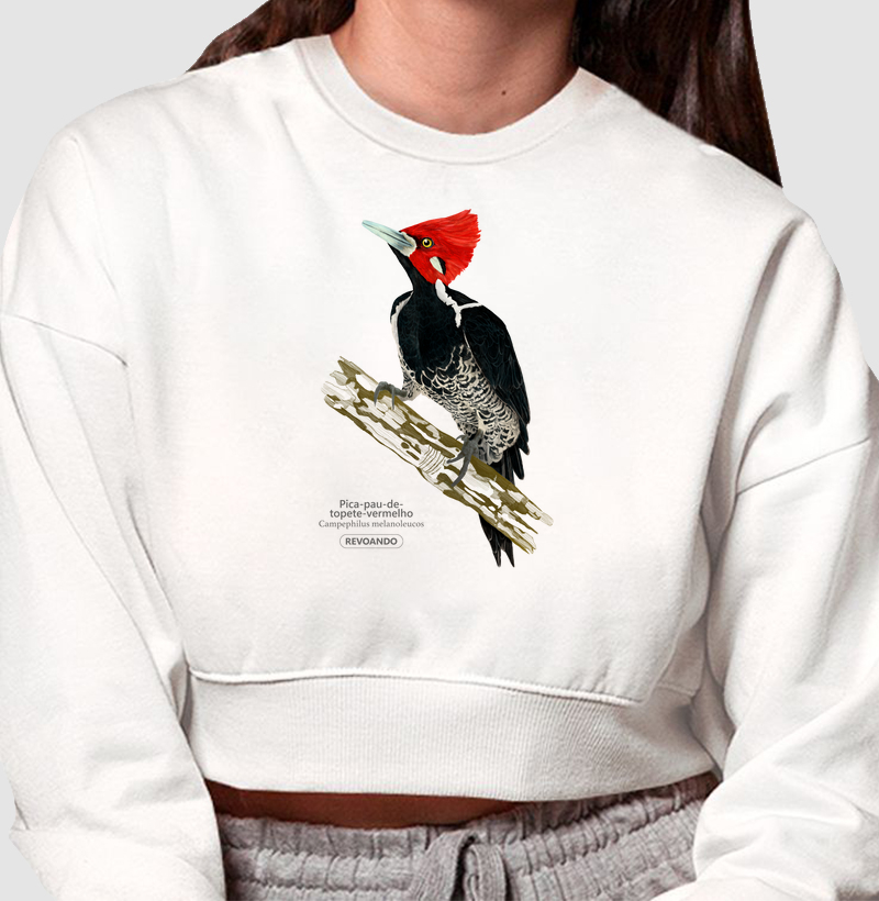 Inky Aves - Pica-pau-de-topete-vermelho - Moletom Cropped