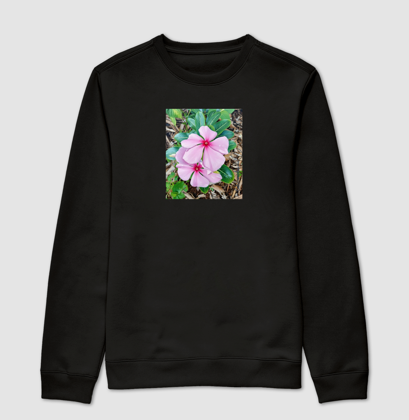 Vinca de Madagascar (tela)